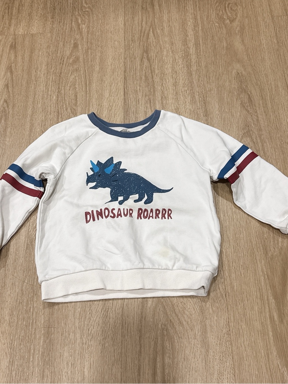 Kids White Dinosaur Graphic Pullover Sweatshirt with Blue Trim